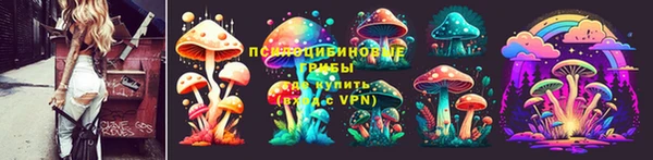 2c-b Сатка