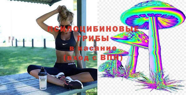 МДПВ Осинники