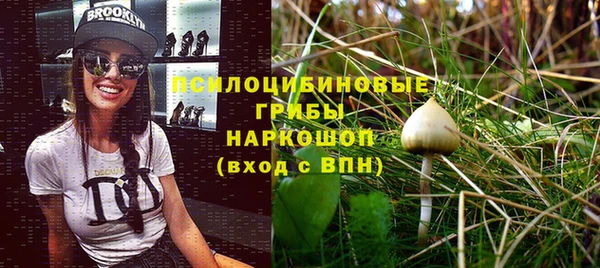 кокс Нягань