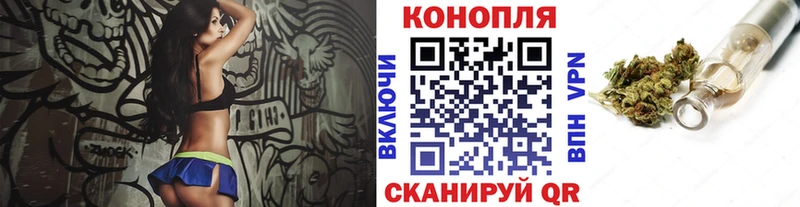 кракен   что такое   Кадников  Бошки Шишки ГИДРОПОН 